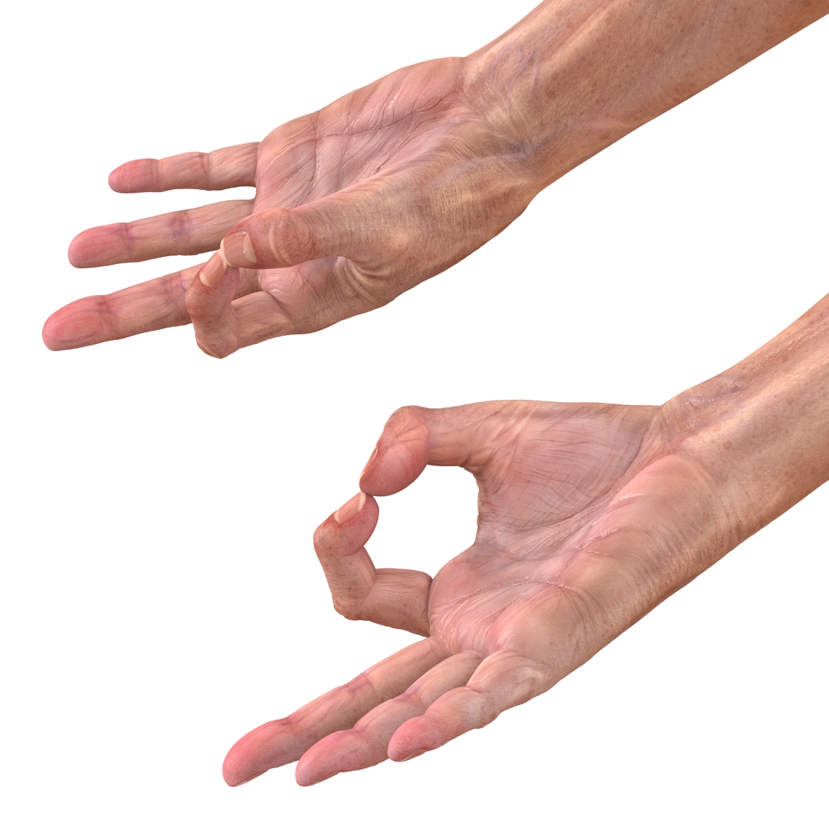 Old Man Hands 2 Pose 5 3D