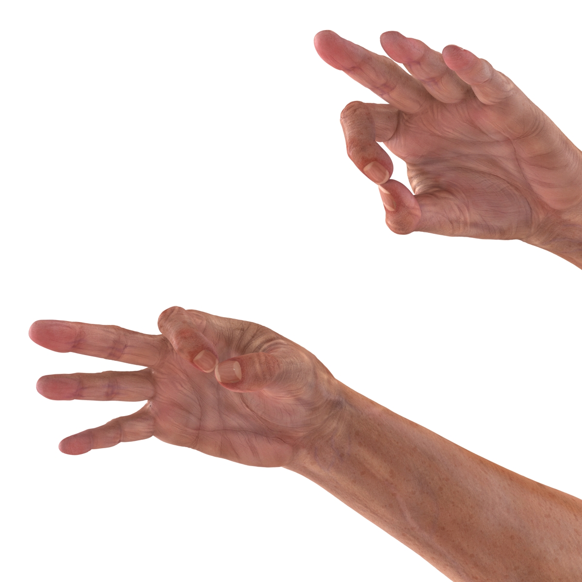 Old Man Hands 2 Pose 5 3D