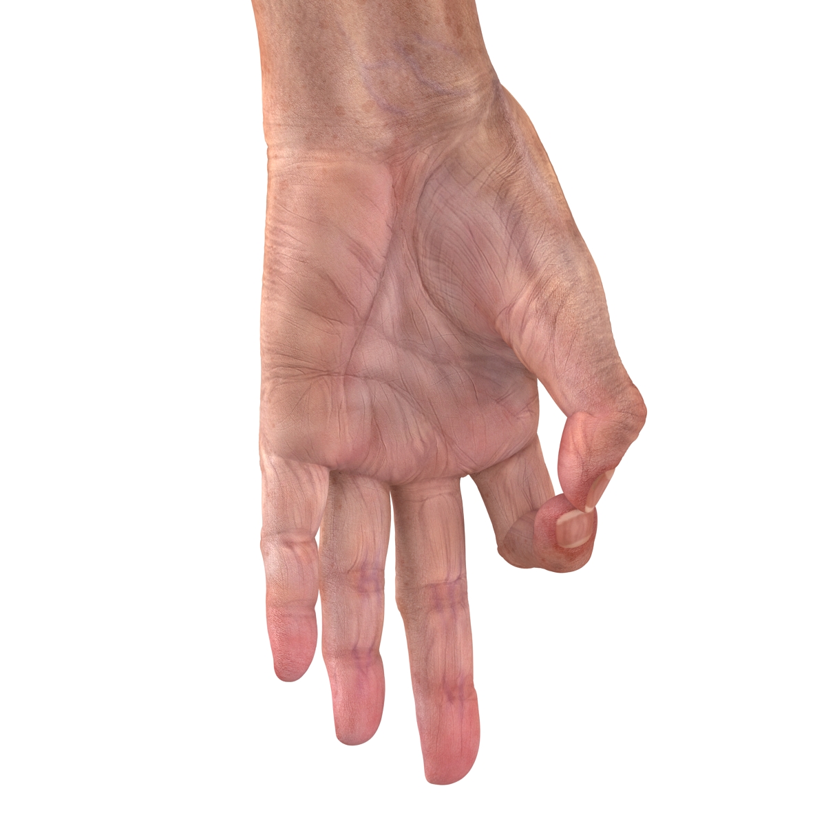 Old Man Hands 2 Pose 5 3D