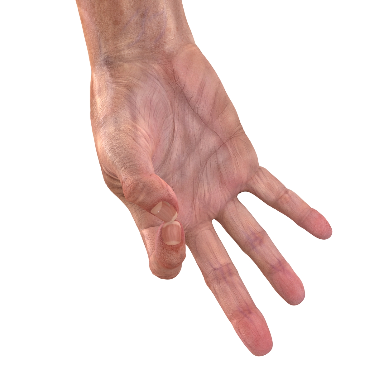 Old Man Hands 2 Pose 5 3D