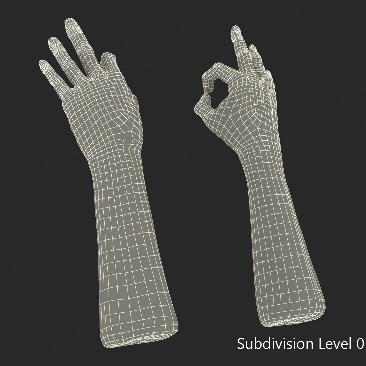 Old Man Hands 2 Pose 5 3D