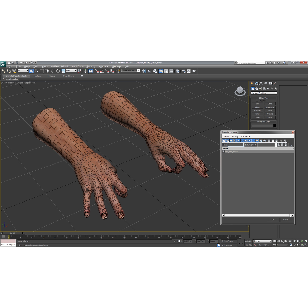 Old Man Hands 2 Pose 5 3D