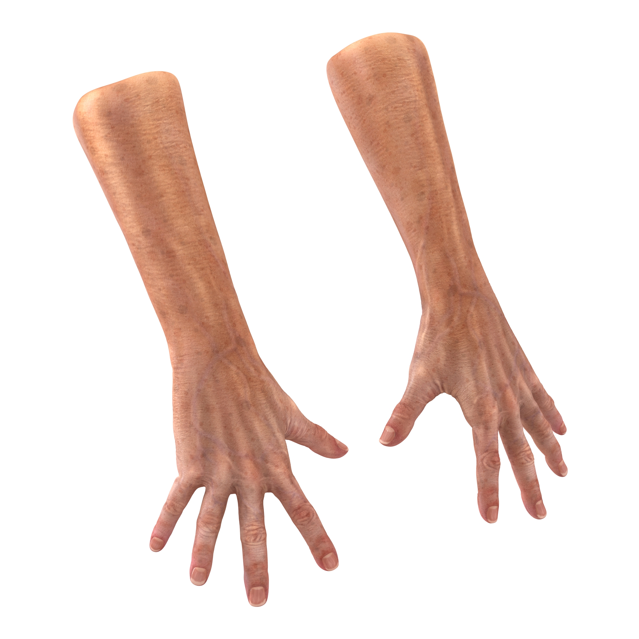 Old Man Hands 2 Pose 4 3D