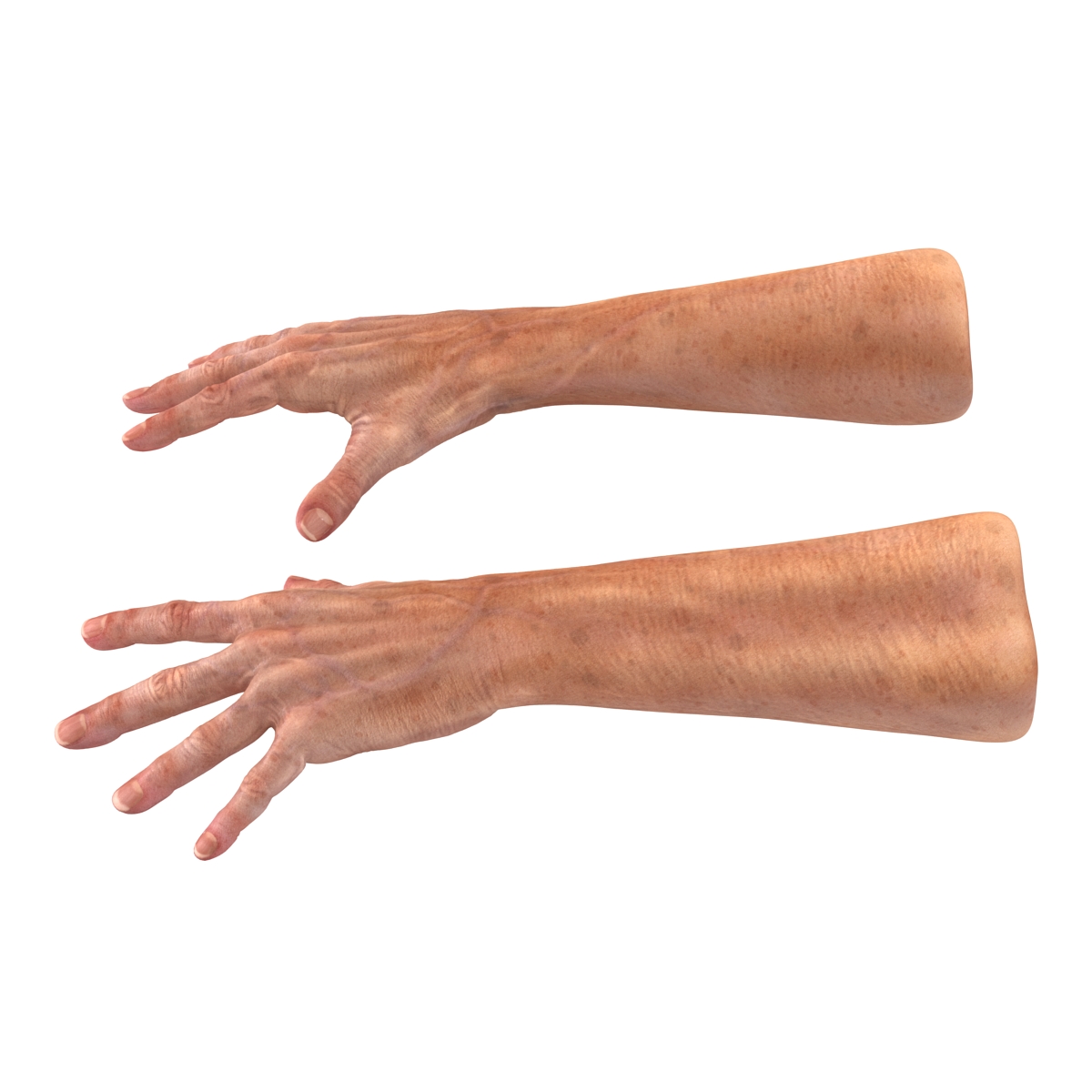 Old Man Hands 2 Pose 4 3D