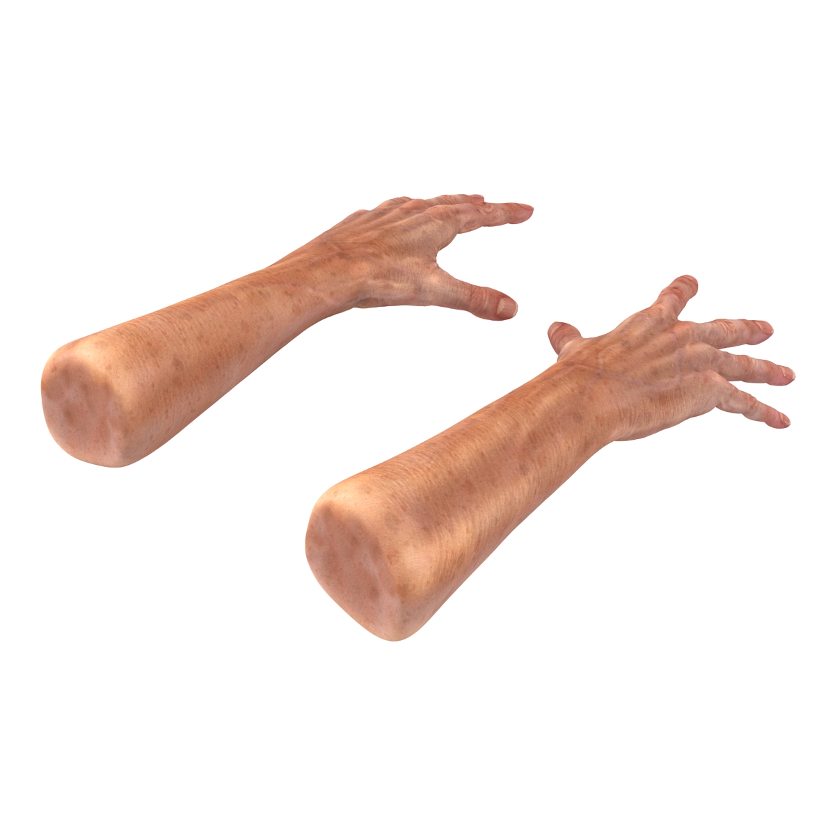 Old Man Hands 2 Pose 4 3D