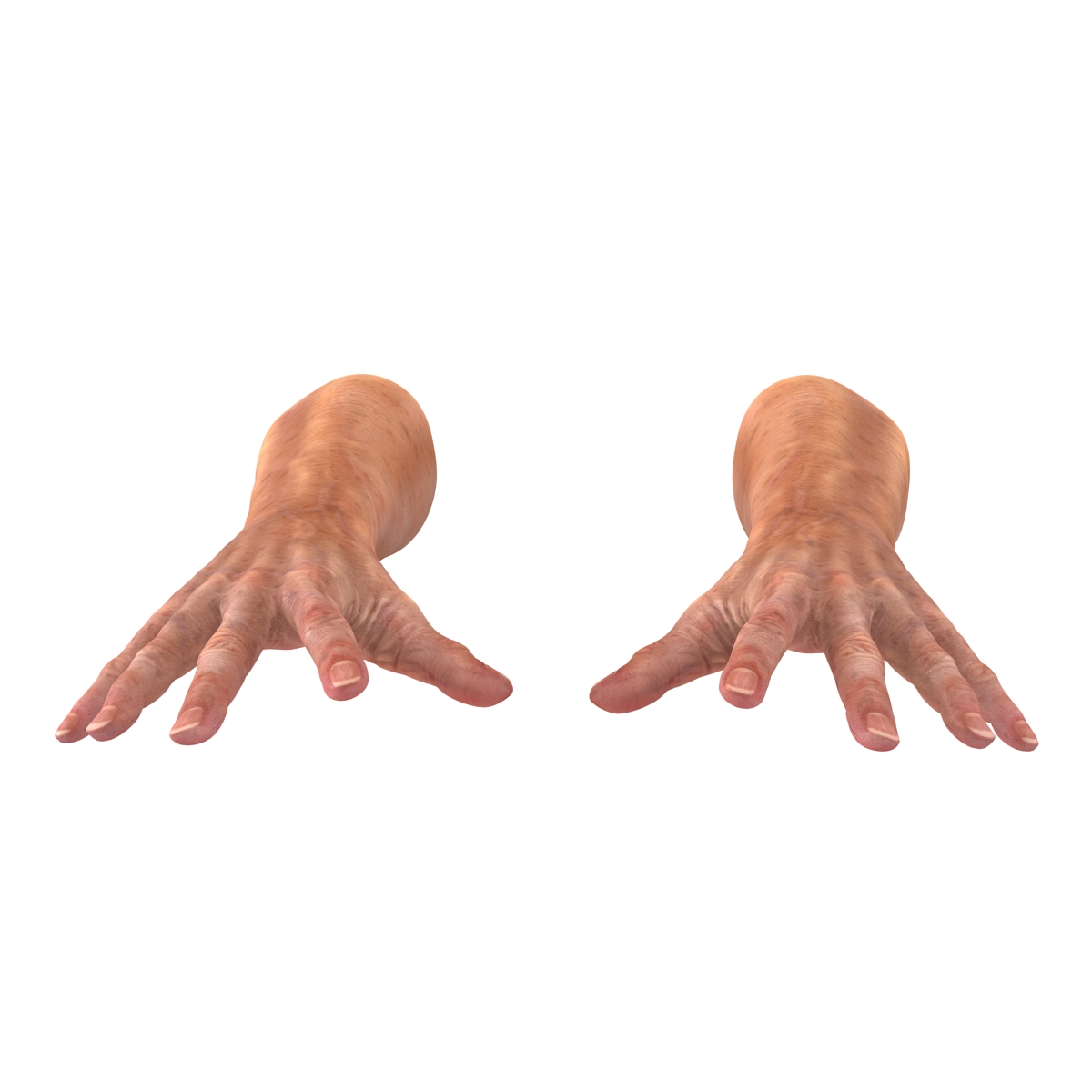 Old Man Hands 2 Pose 4 3D