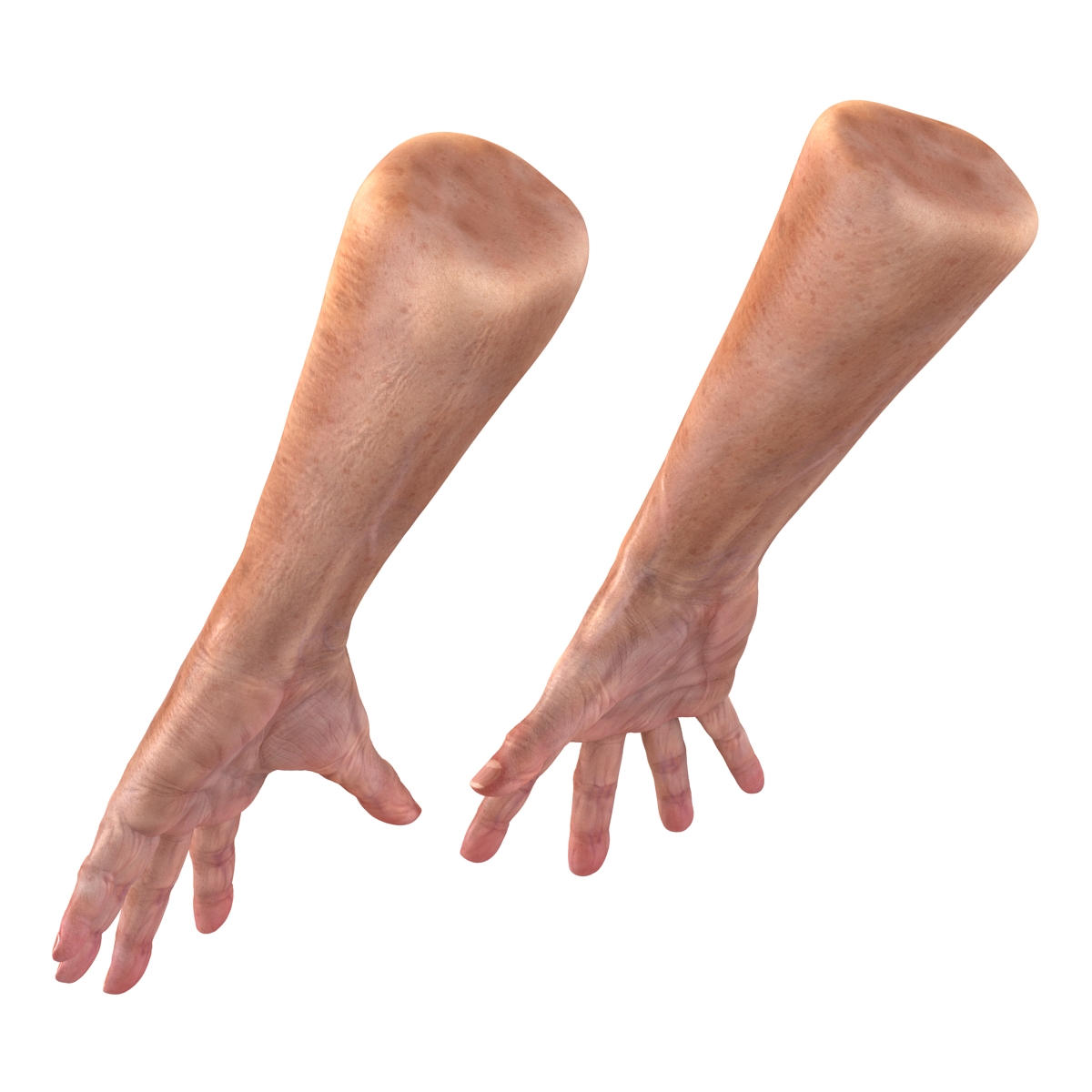 Old Man Hands 2 Pose 4 3D