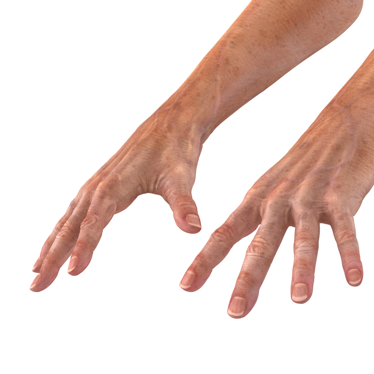 Old Man Hands 2 Pose 4 3D