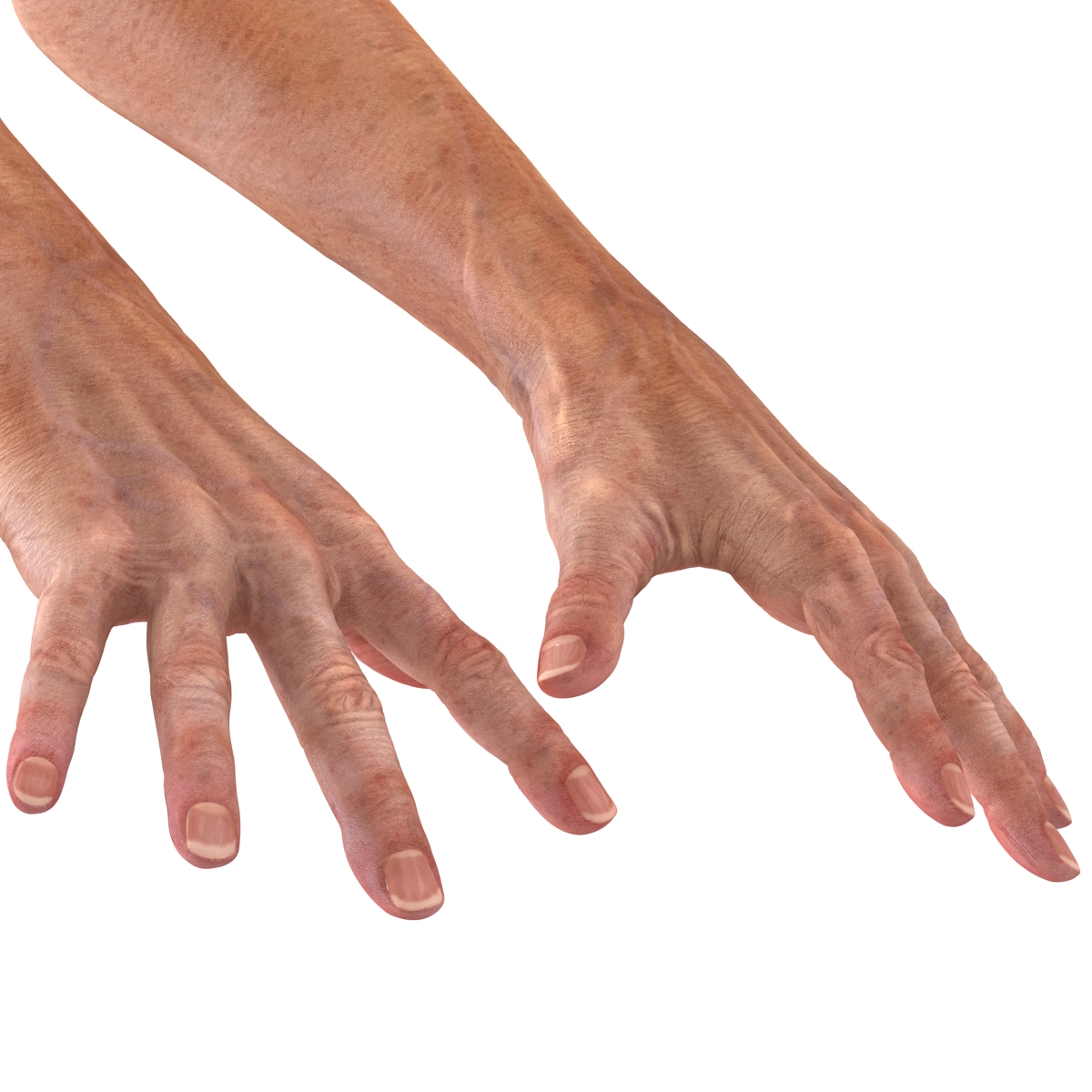 Old Man Hands 2 Pose 4 3D