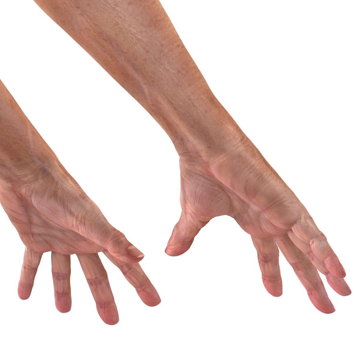 Old Man Hands 2 Pose 4 3D