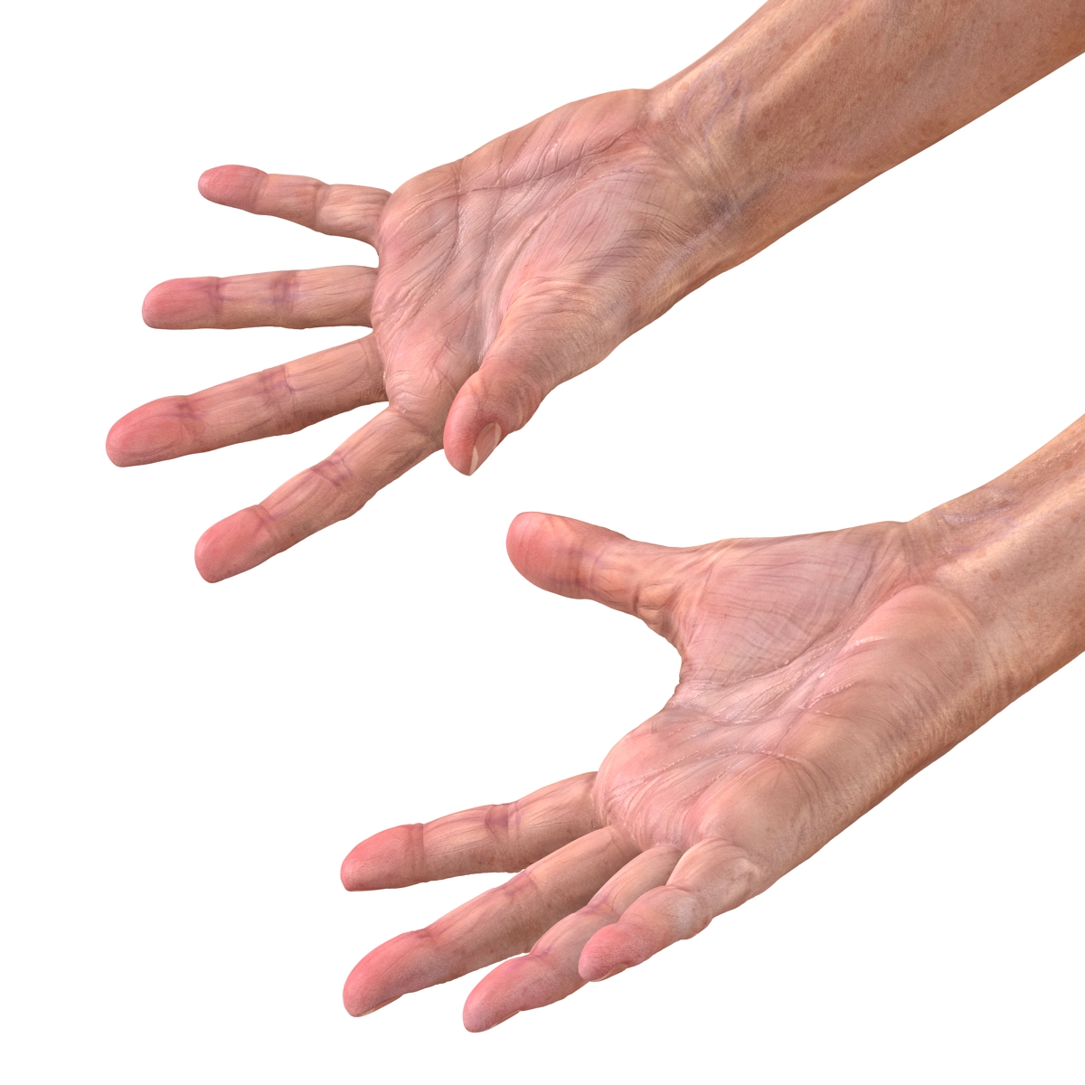 Old Man Hands 2 Pose 4 3D