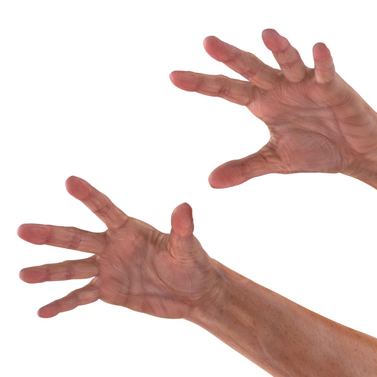 Old Man Hands 2 Pose 4 3D