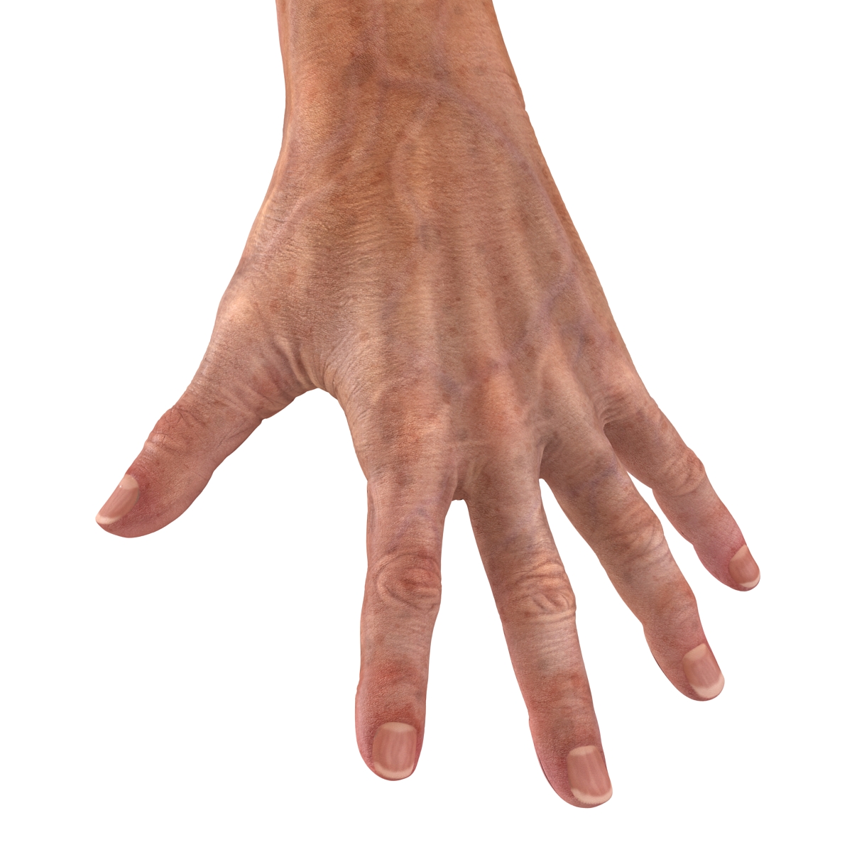 Old Man Hands 2 Pose 4 3D