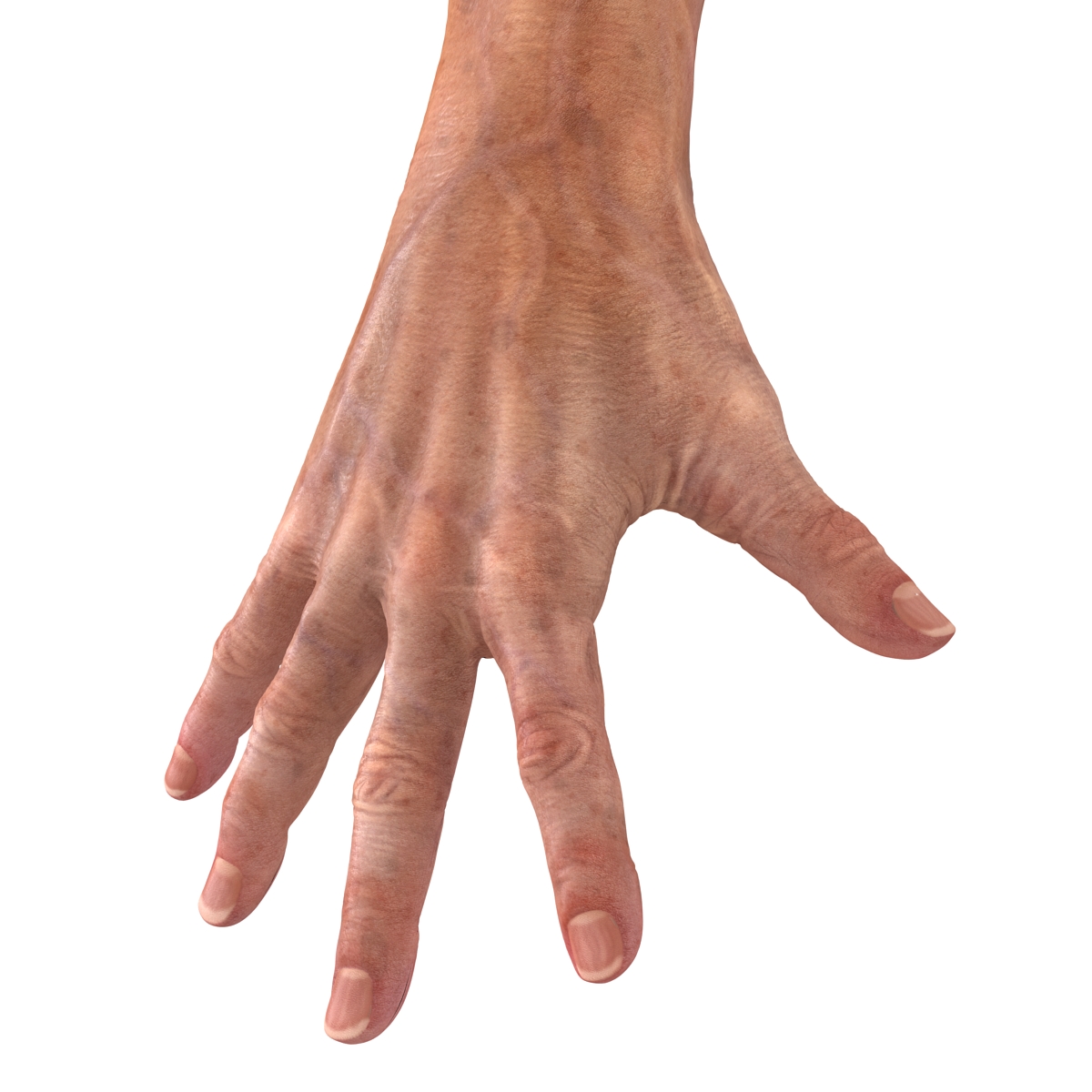 Old Man Hands 2 Pose 4 3D