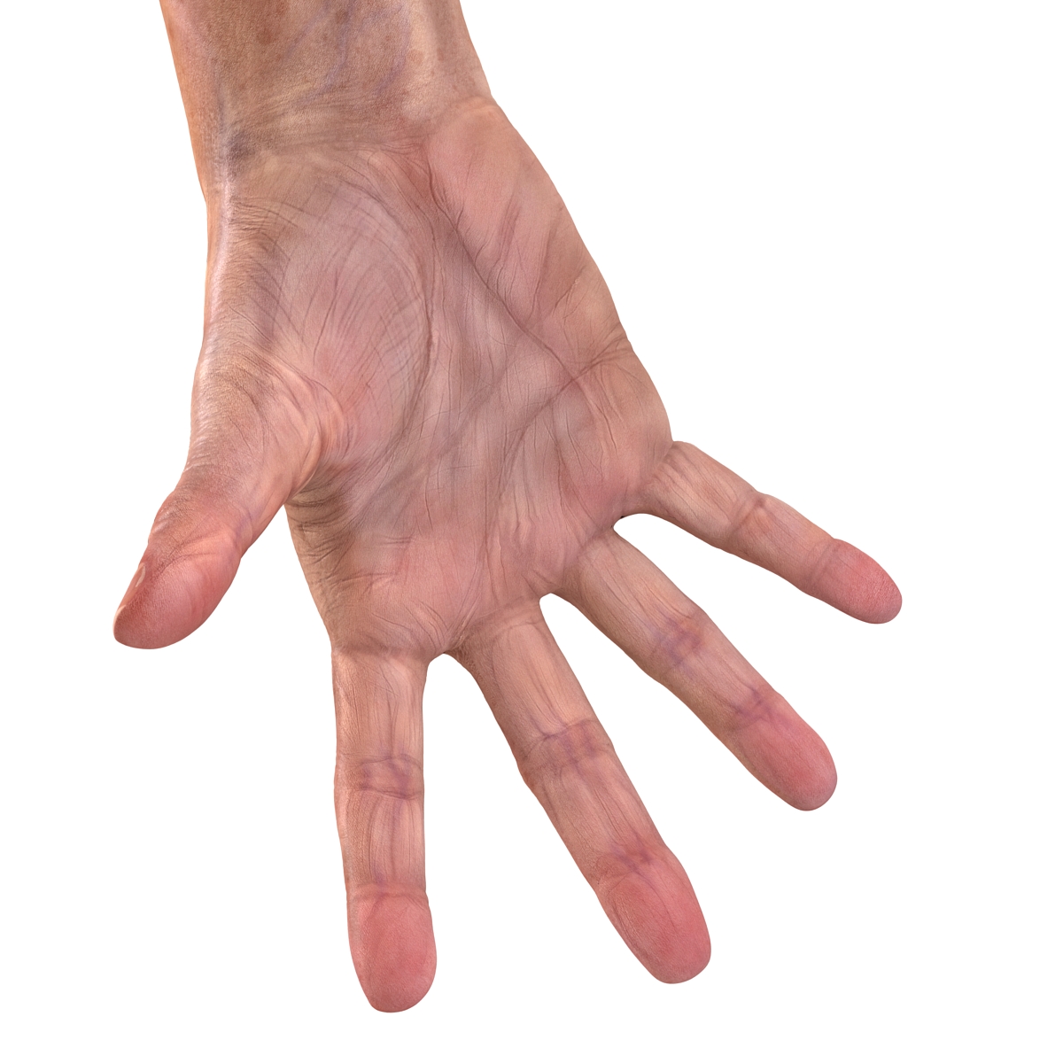 Old Man Hands 2 Pose 4 3D