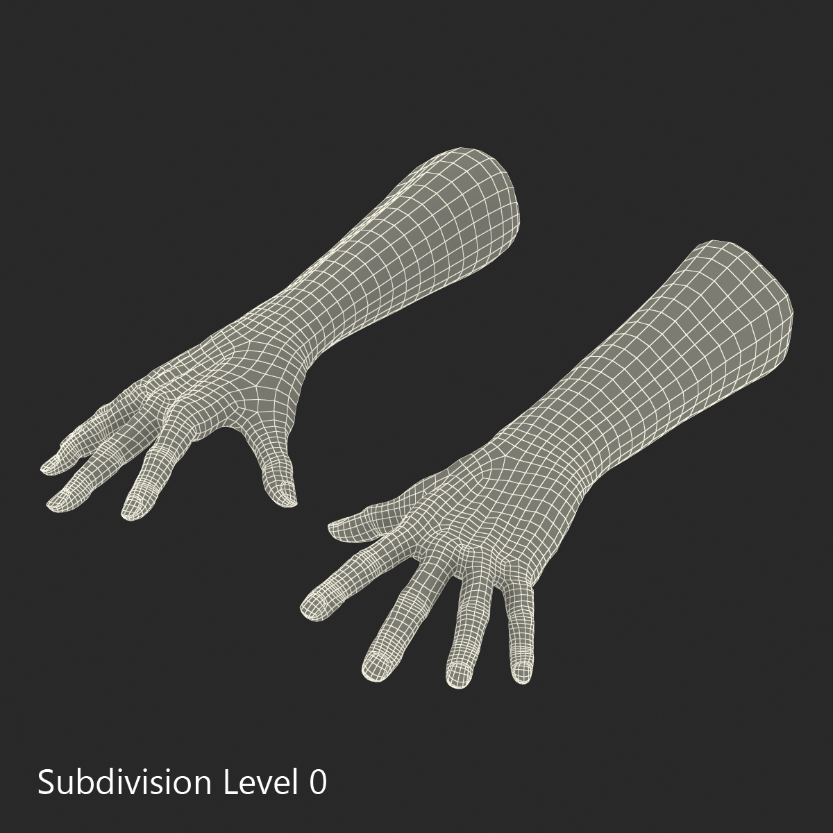 Old Man Hands 2 Pose 4 3D