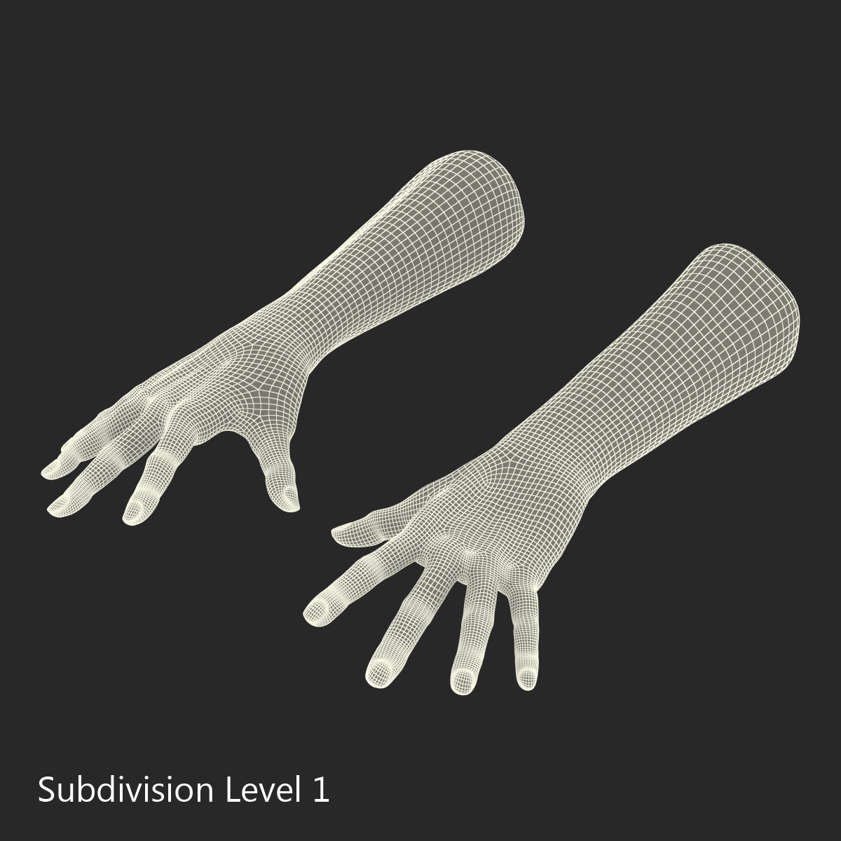 Old Man Hands 2 Pose 4 3D