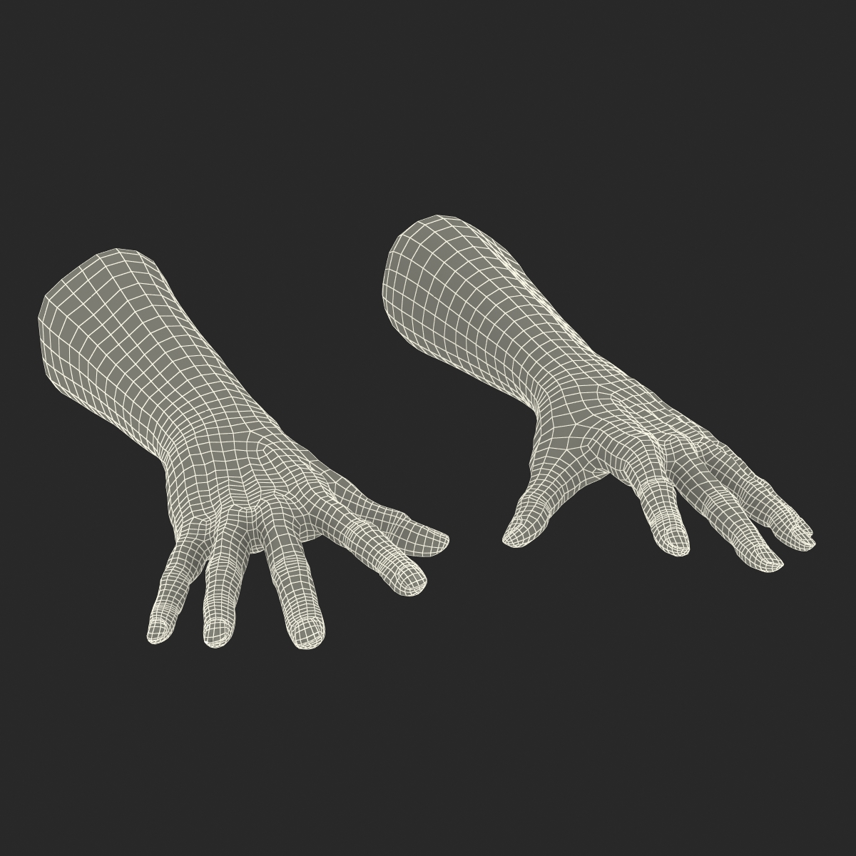 Old Man Hands 2 Pose 4 3D