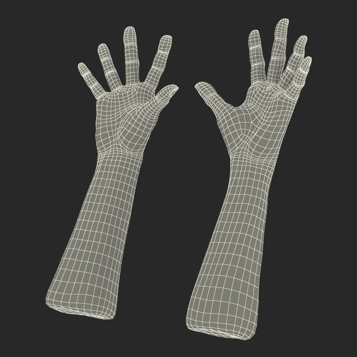 Old Man Hands 2 Pose 4 3D