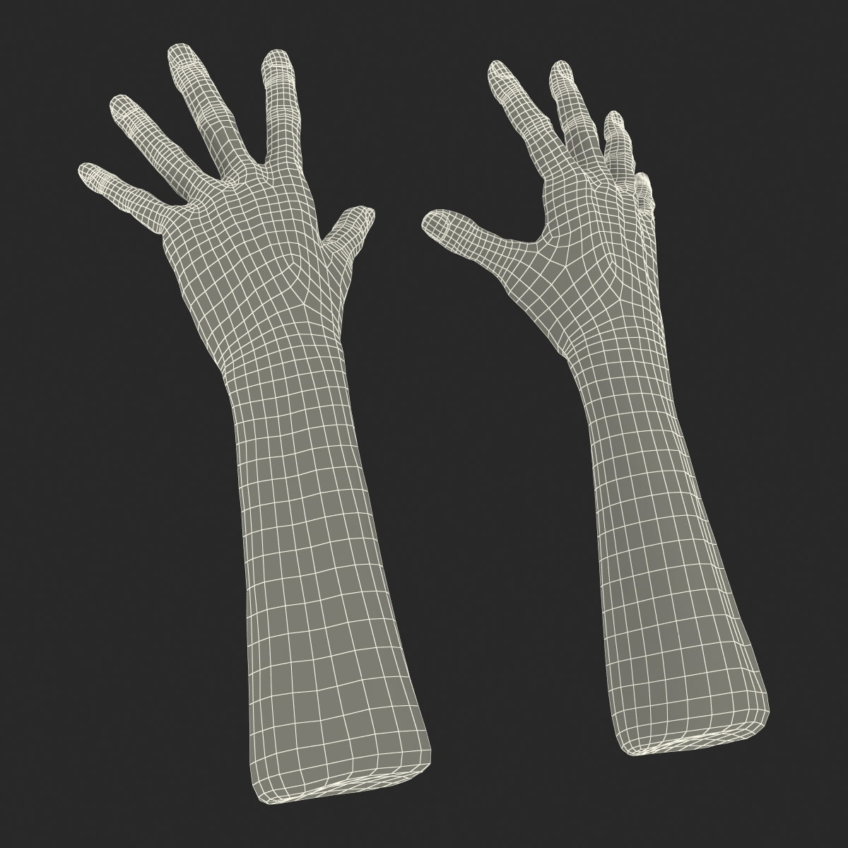 Old Man Hands 2 Pose 4 3D