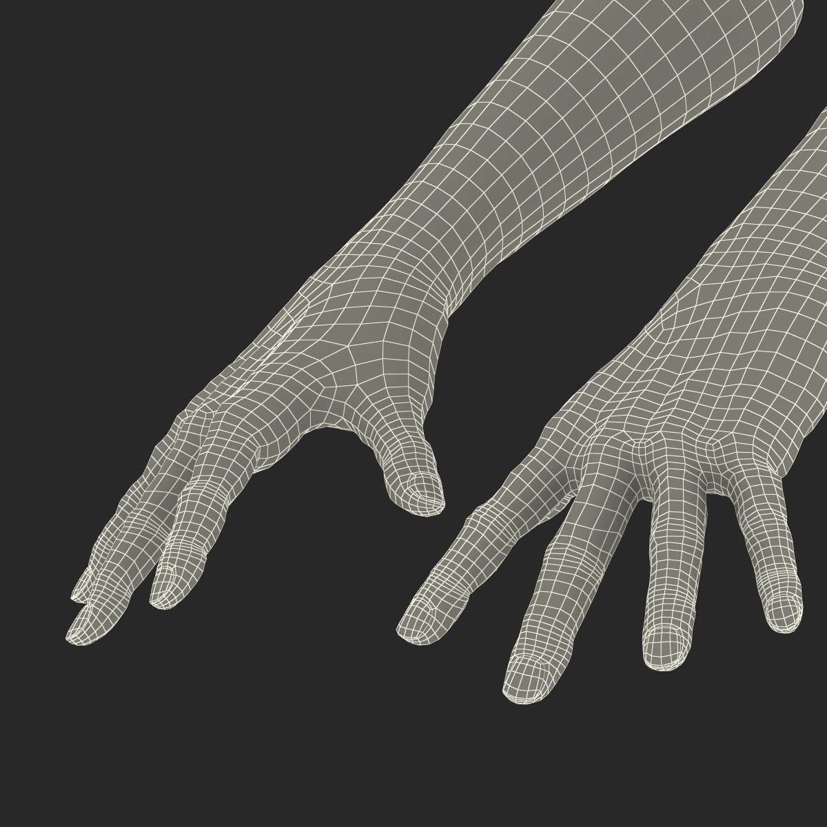 Old Man Hands 2 Pose 4 3D