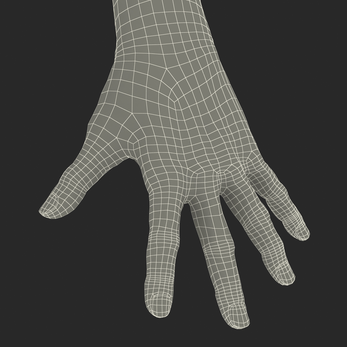 Old Man Hands 2 Pose 4 3D