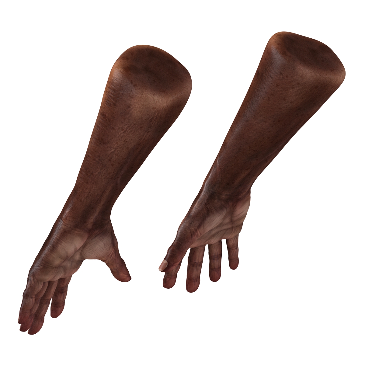 3D Old African Man Hands