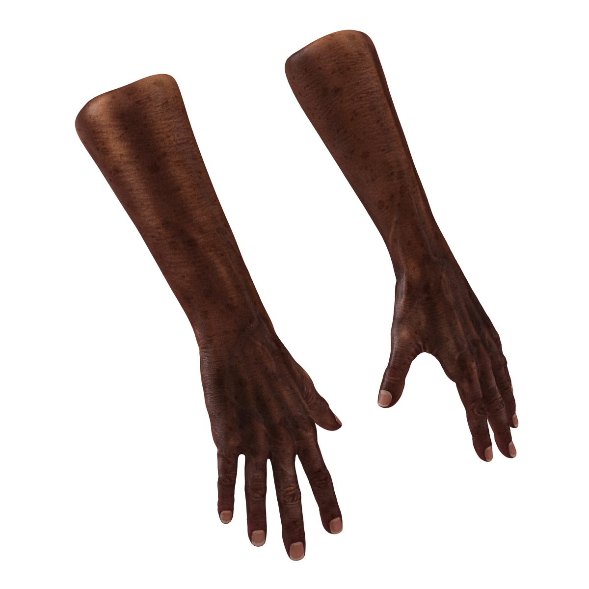 3D Old African Man Hands