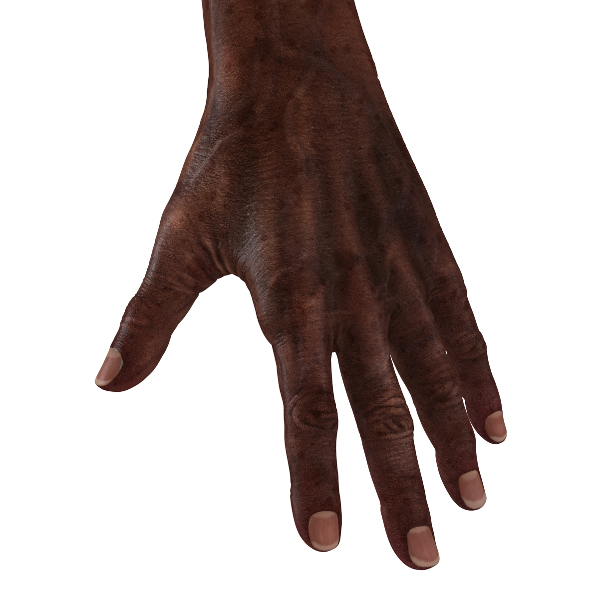 3D Old African Man Hands