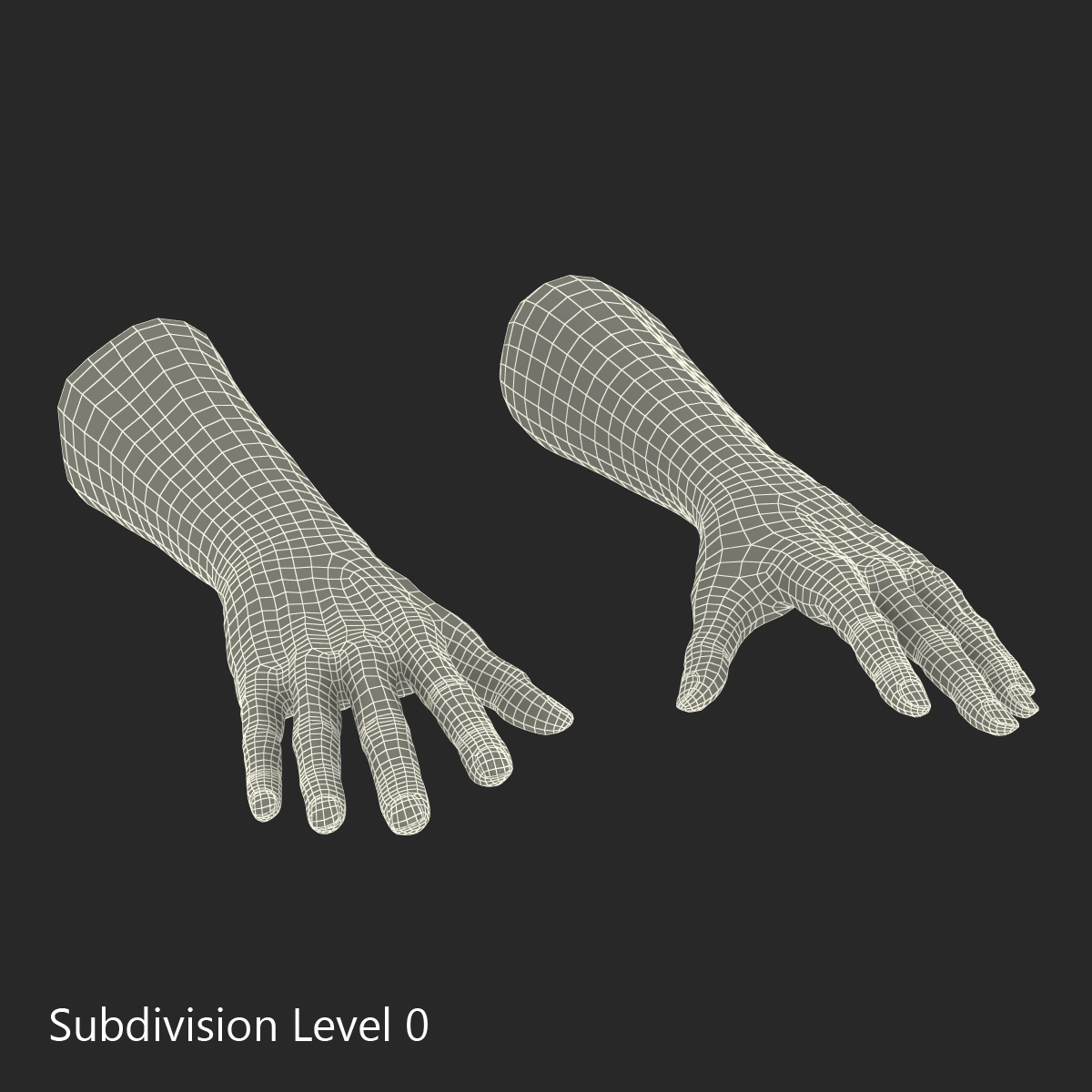 3D Old African Man Hands