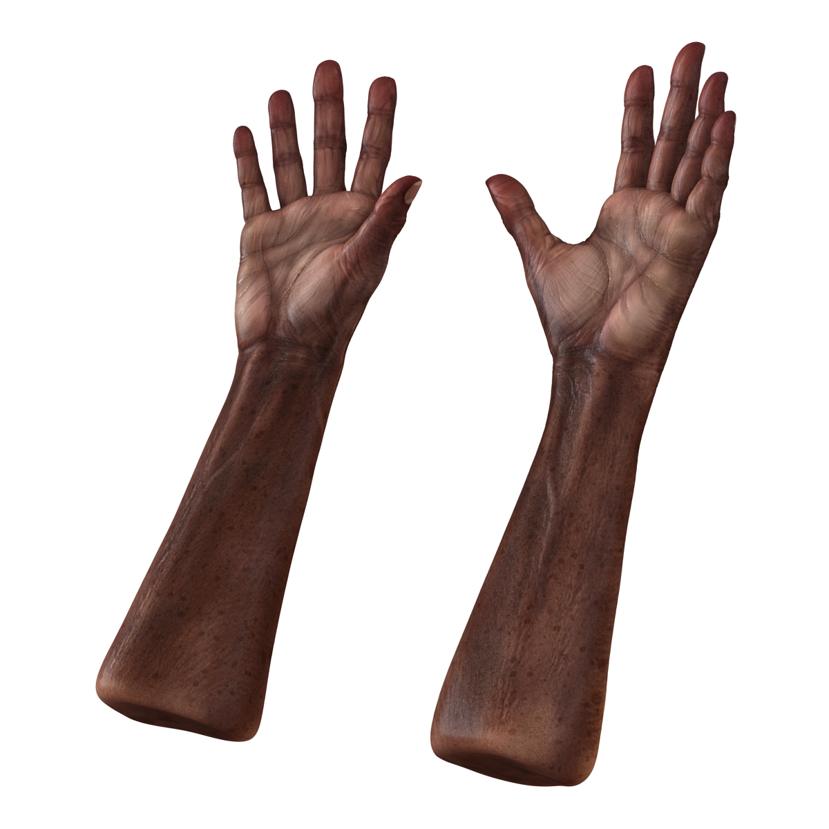 3D Old African Man Hands Rigged model