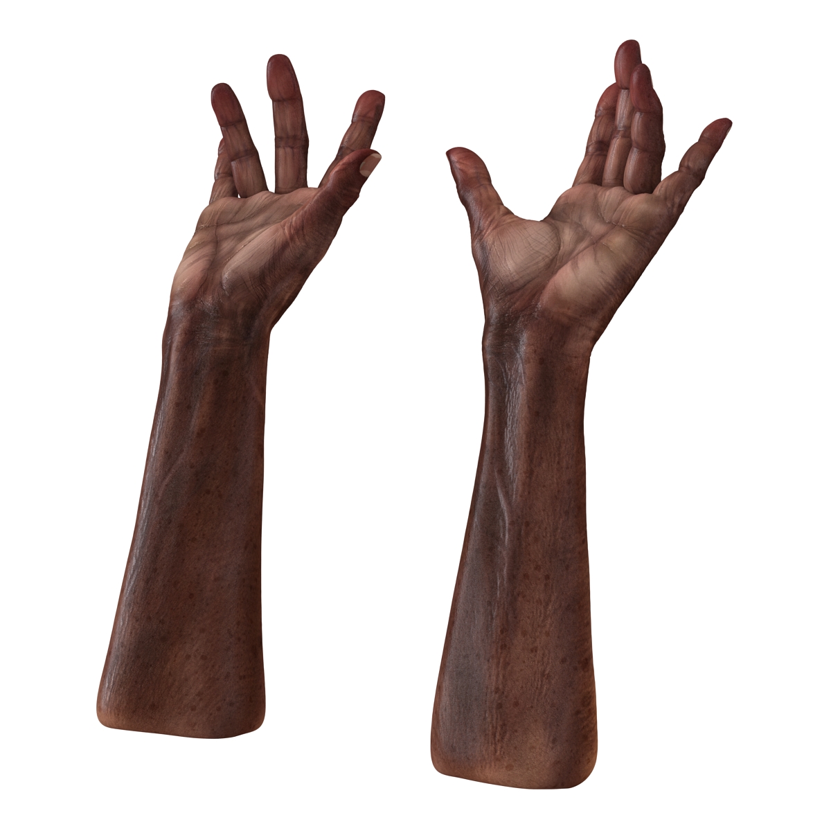 3D Old African Man Hands Rigged model