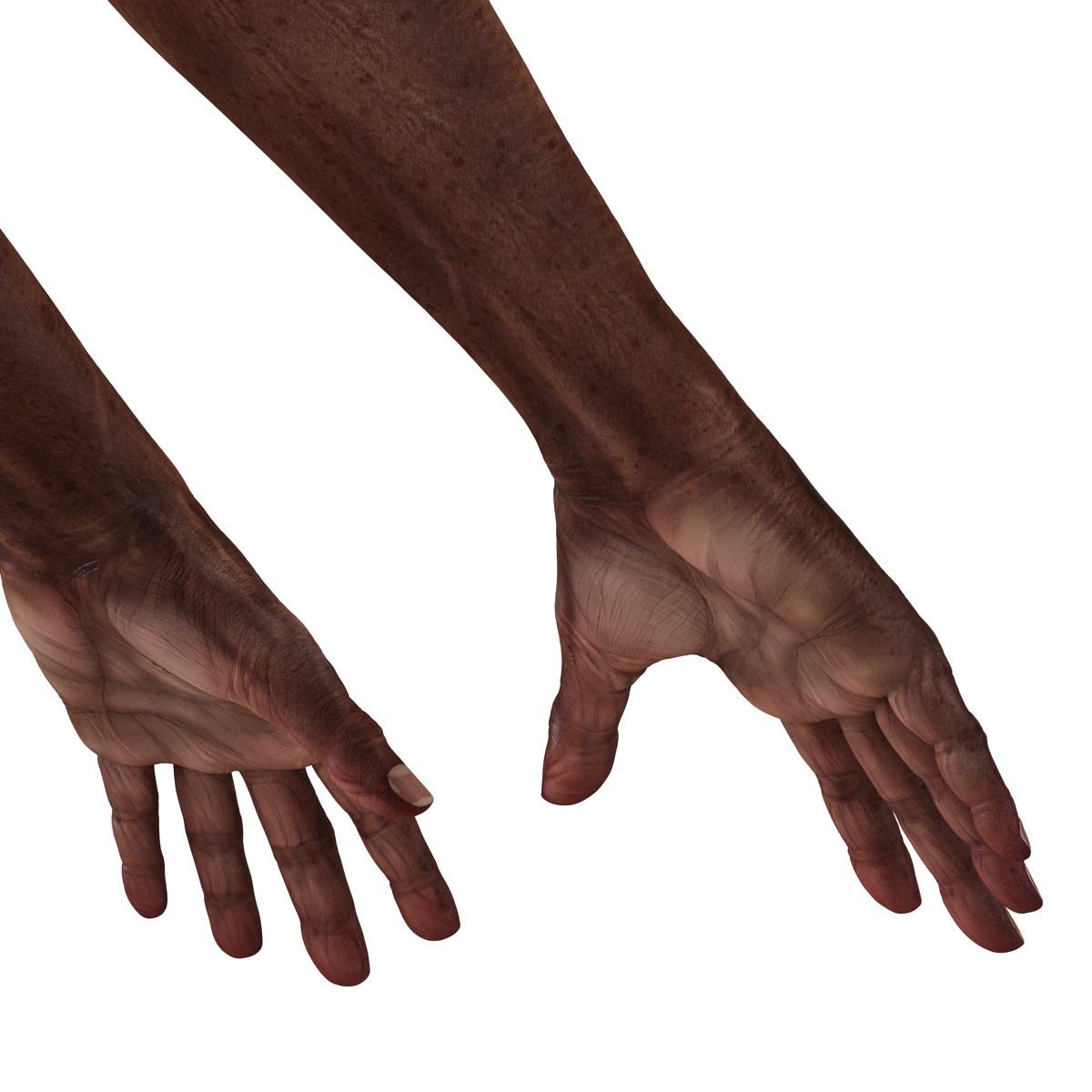 3D Old African Man Hands Rigged model