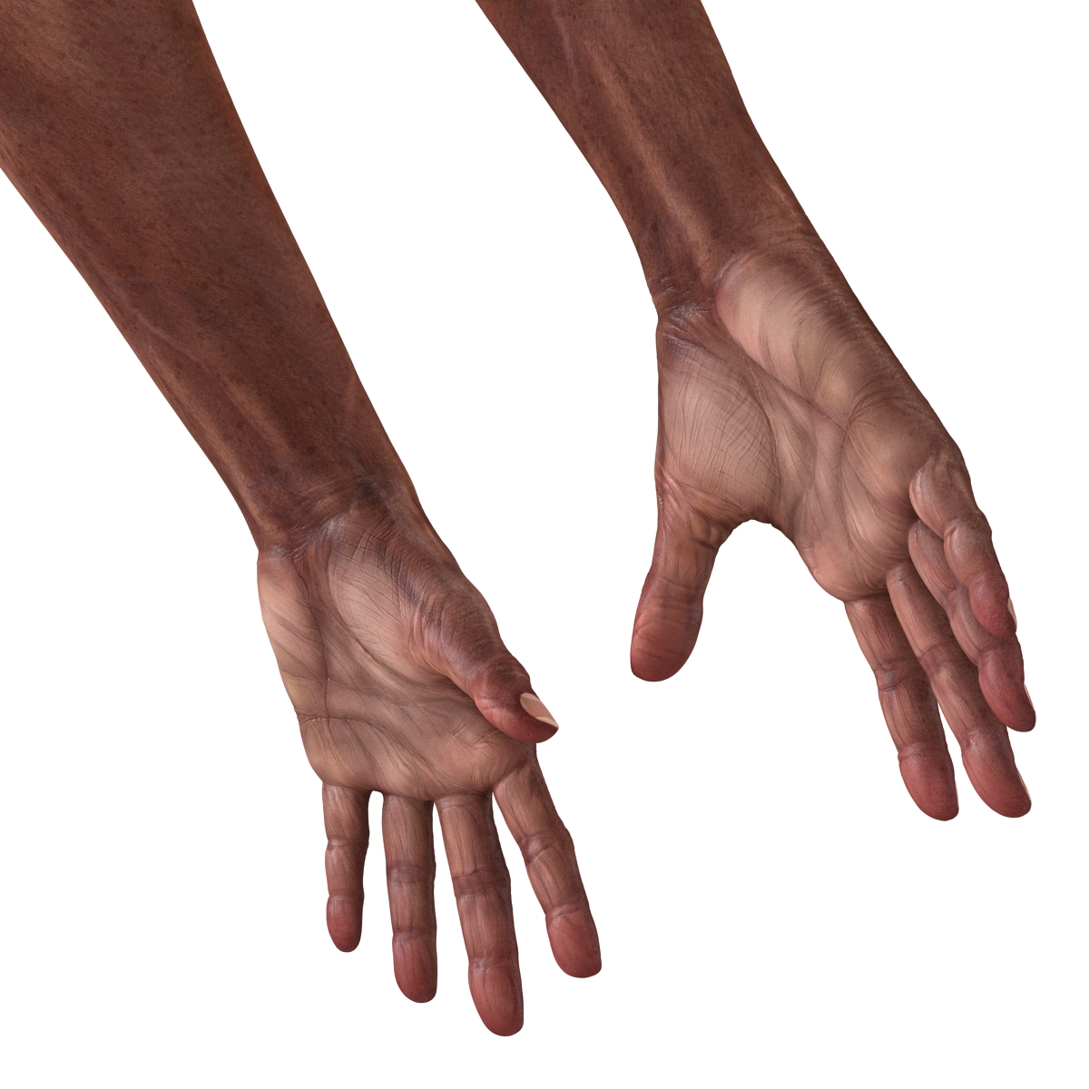 3D Old African Man Hands 2 model