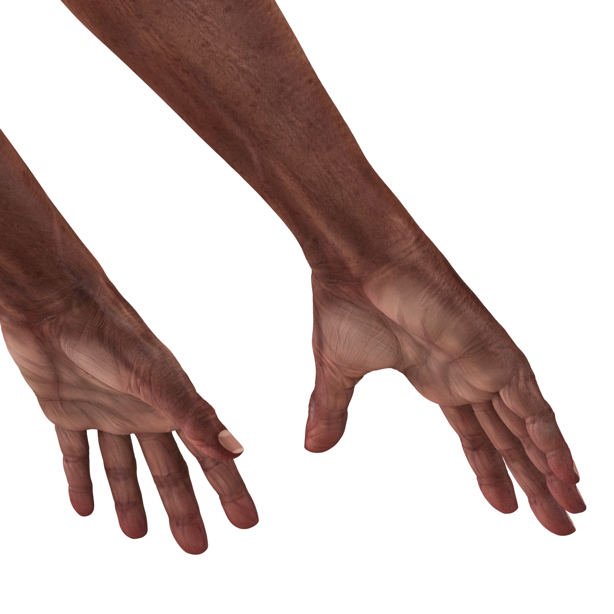 3D Old African Man Hands 2 model