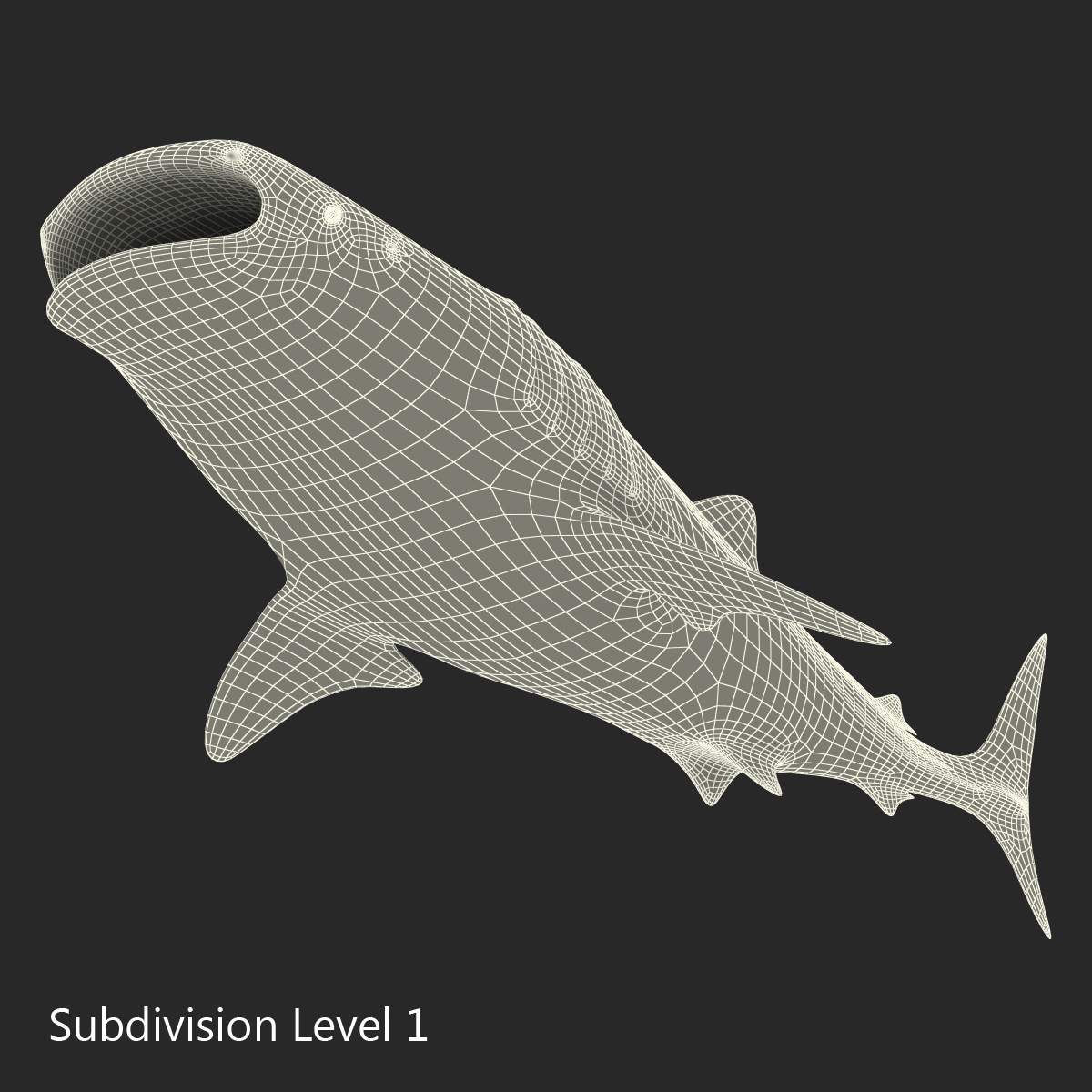 3D Whale Shark Pose 3 model