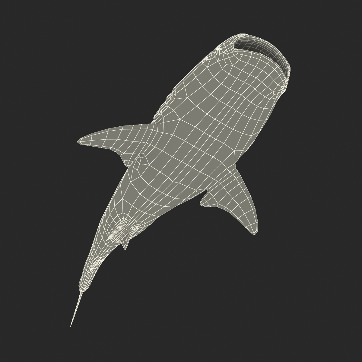 3D Whale Shark Pose 3 model