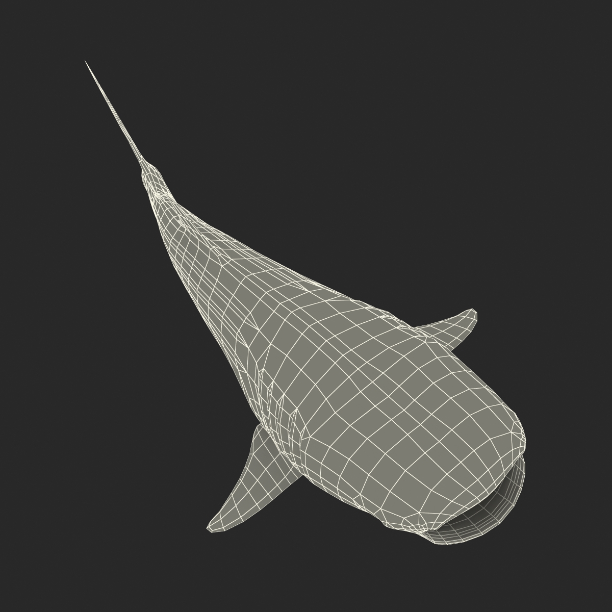 3D Whale Shark Pose 3 model