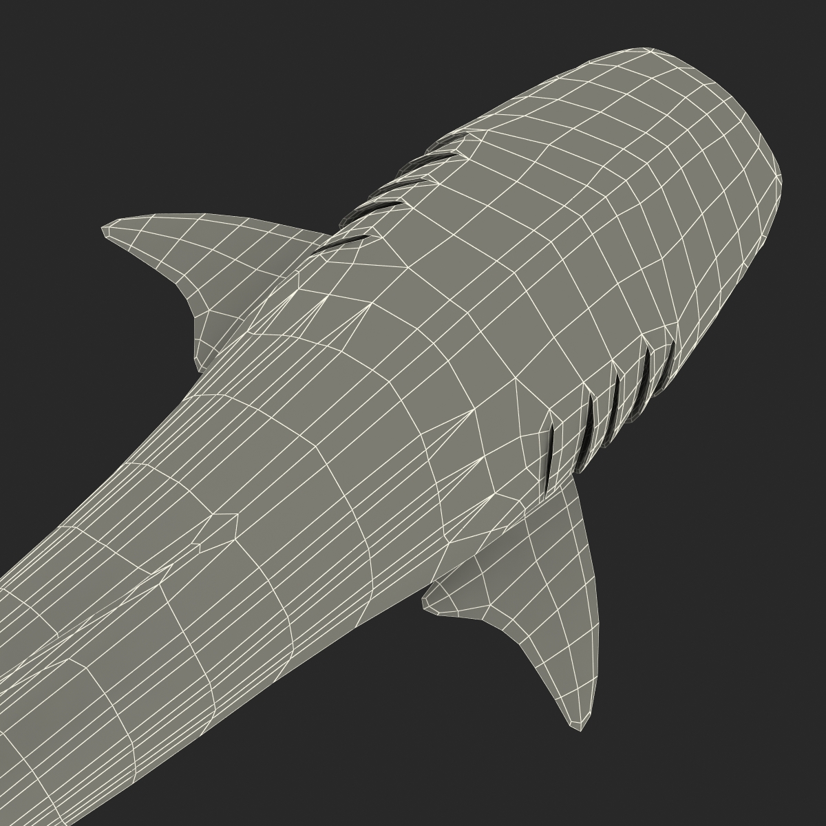 3D Whale Shark Pose 3 model