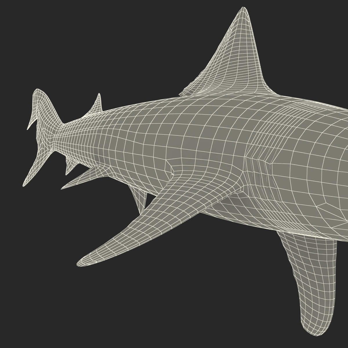 School Shark Rigged 3D model