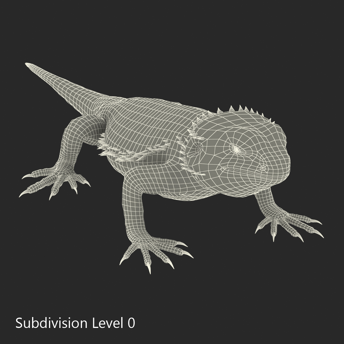 3D Bearded Dragon Rigged