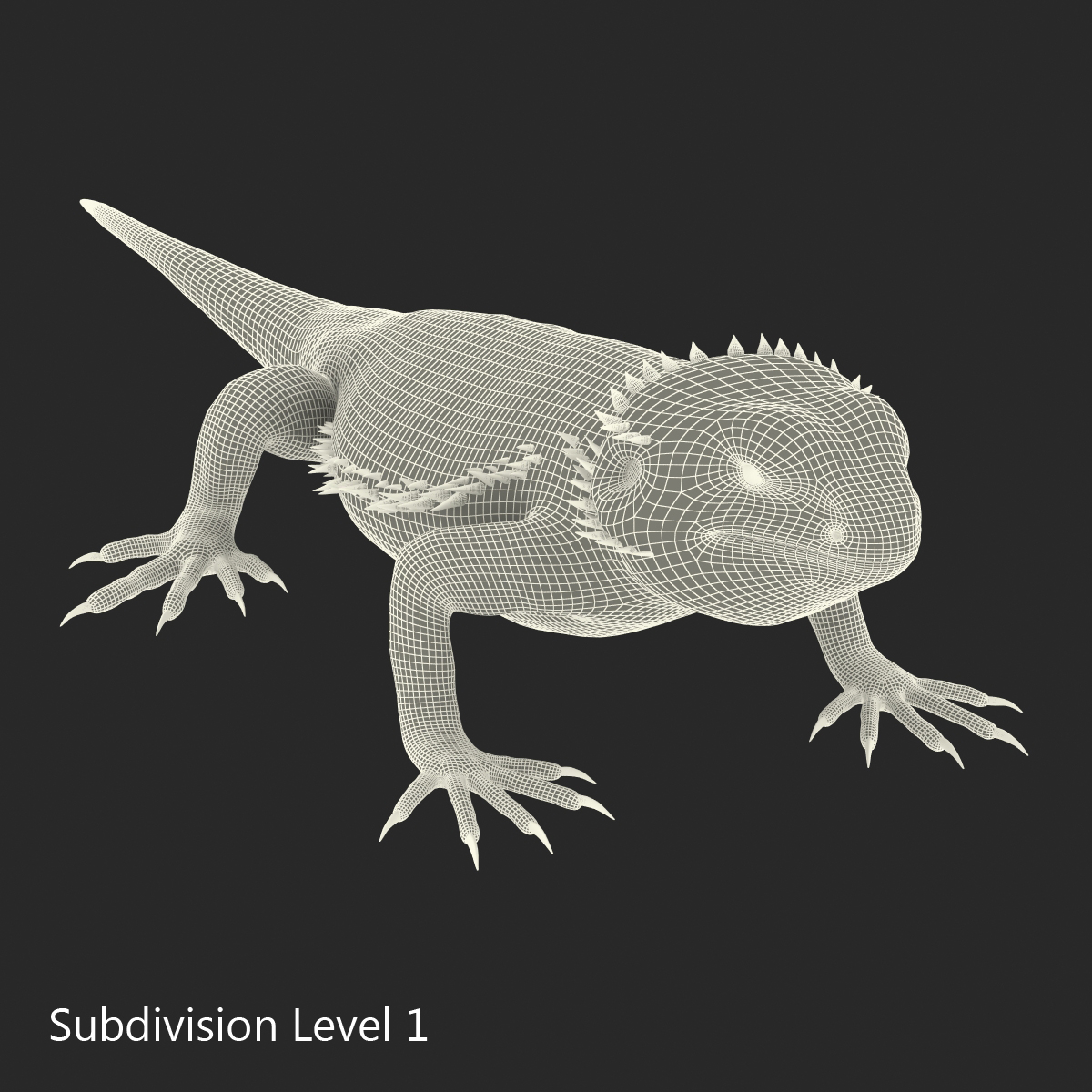 3D Bearded Dragon Rigged