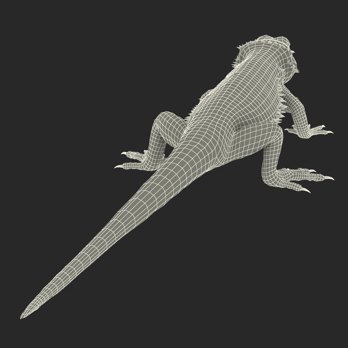 3D Bearded Dragon Rigged