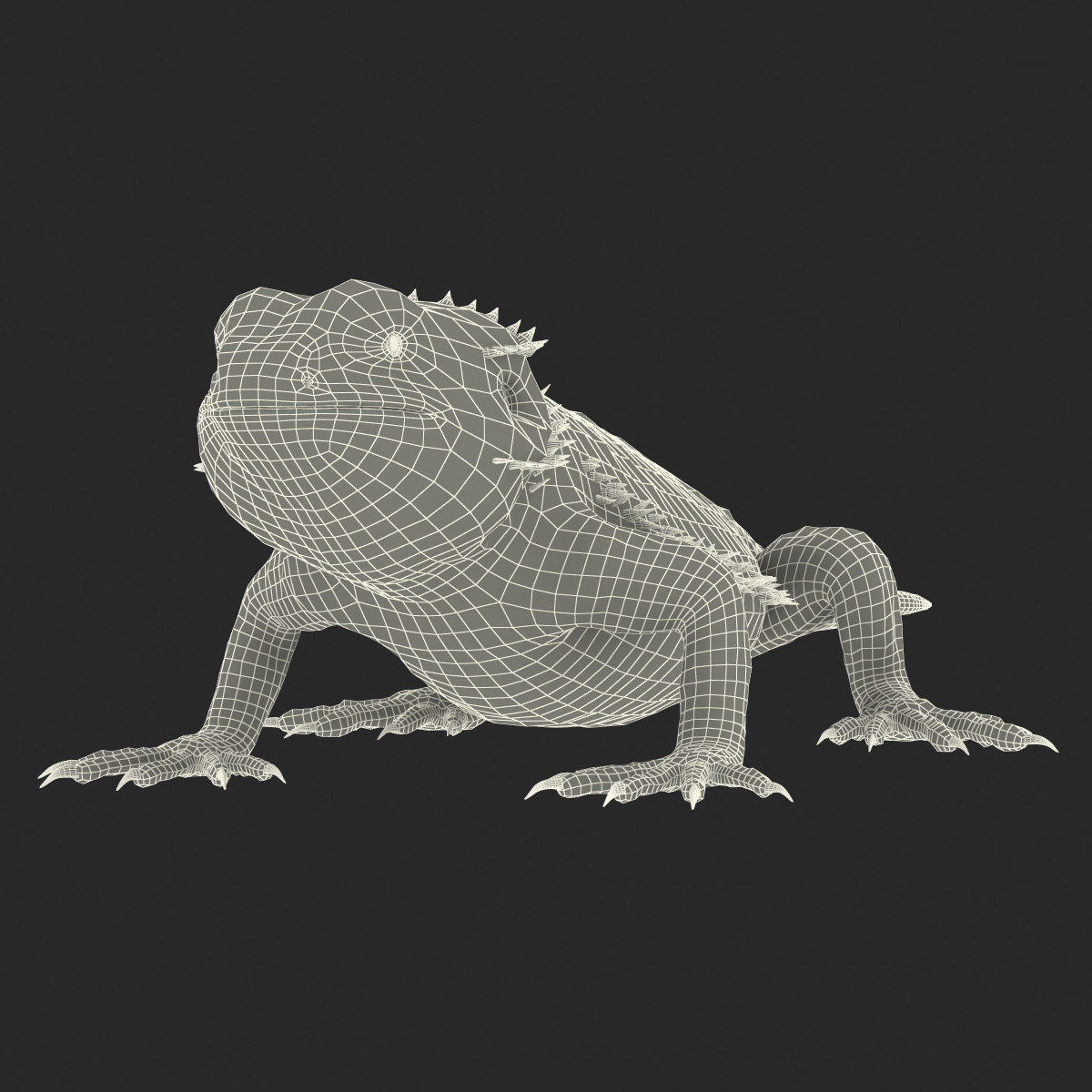 3D Bearded Dragon Rigged