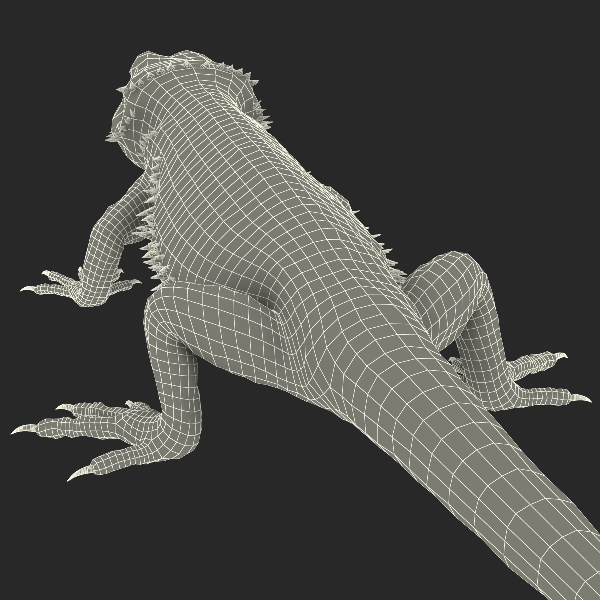 3D Bearded Dragon Rigged