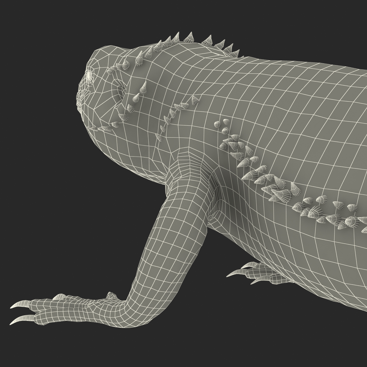 3D Bearded Dragon Rigged