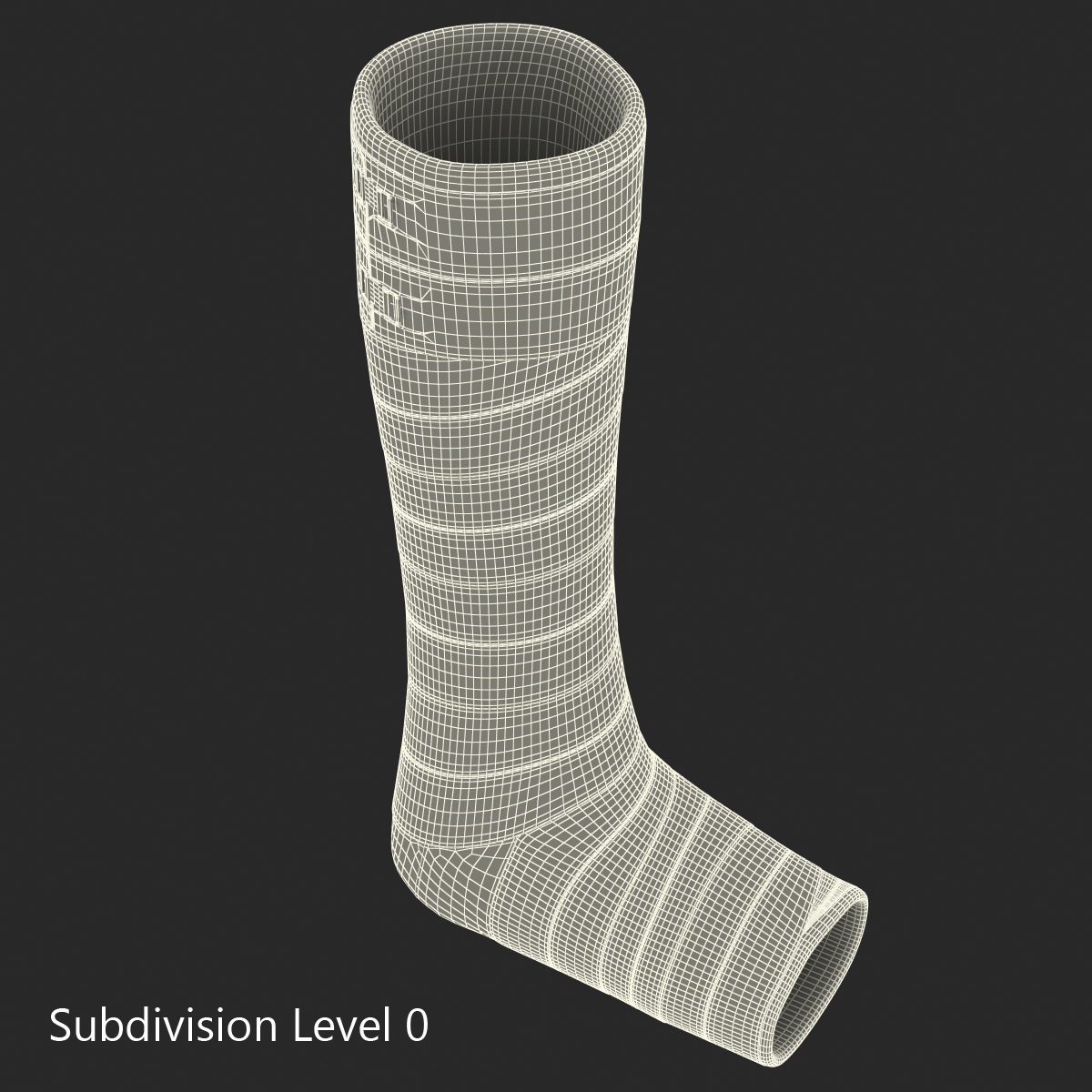 Orthopedic Cast Leg 3D model