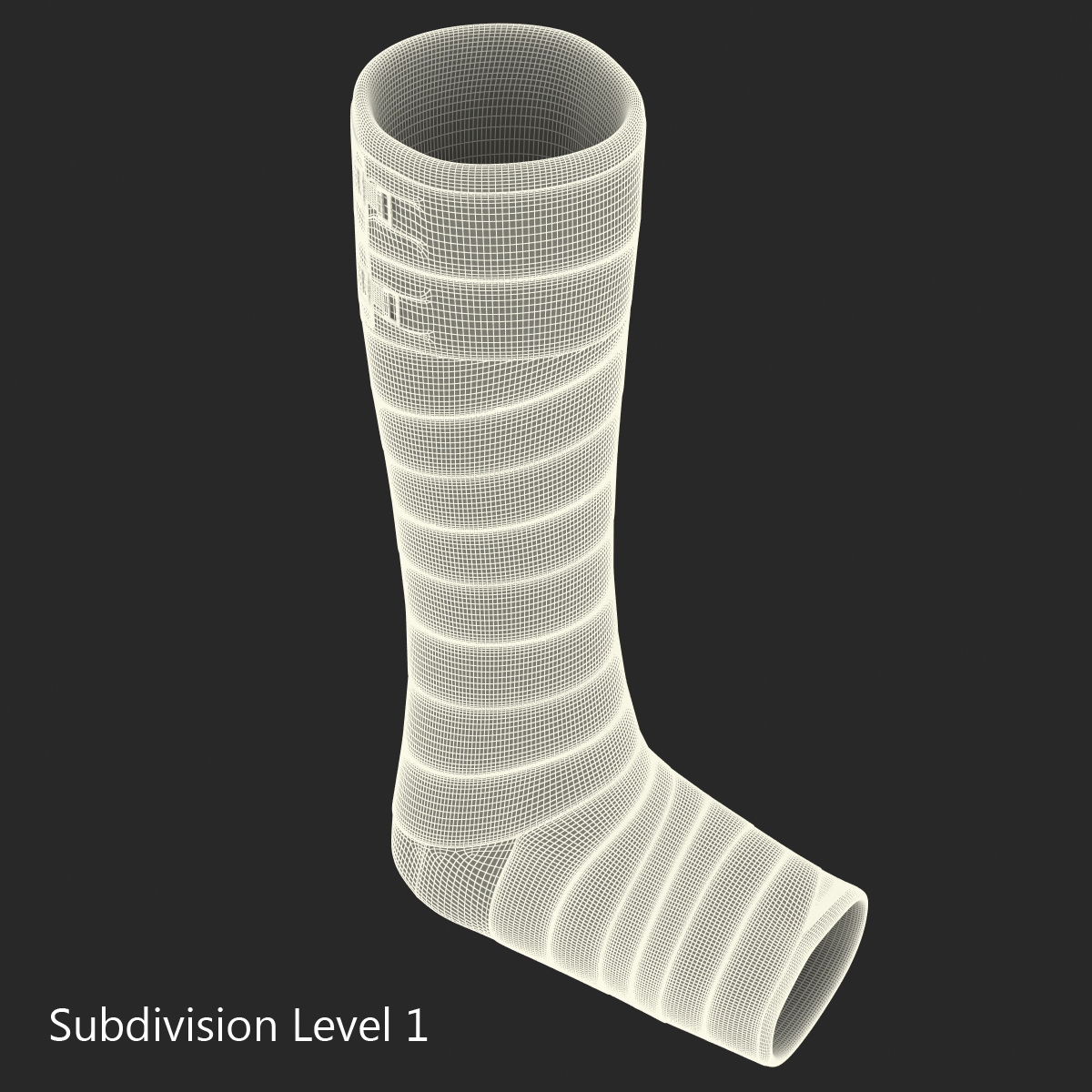 Orthopedic Cast Leg 3D model