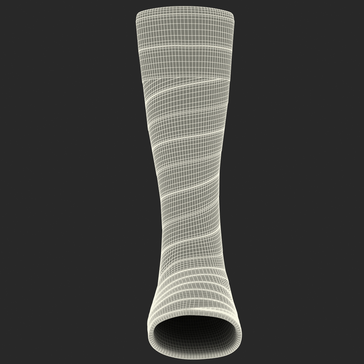 Orthopedic Cast Leg 3D model