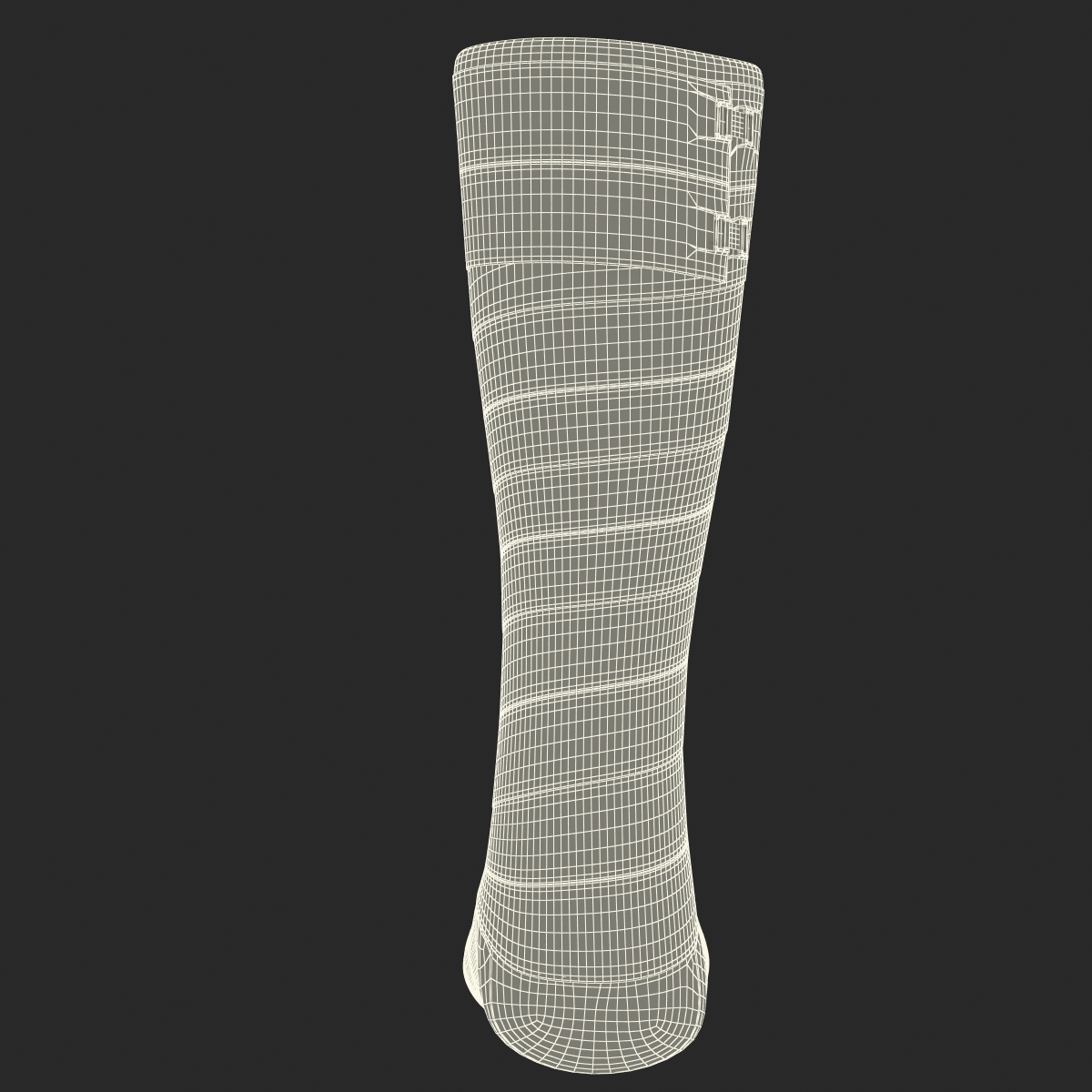 Orthopedic Cast Leg 3D model